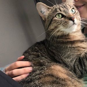 Meet your Posher, Jamie